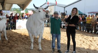 Bella è la Best in Show della Raci