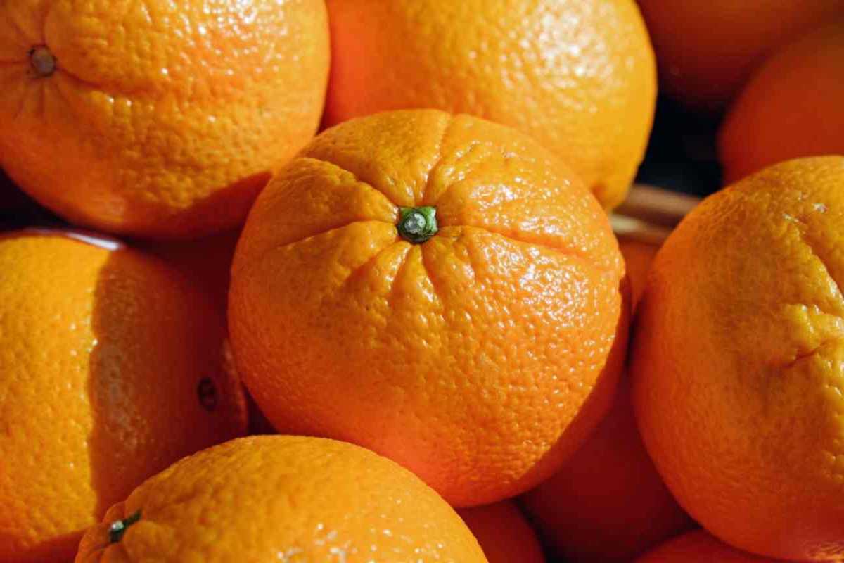 Cosa succede se mangi arance tutti i giorni