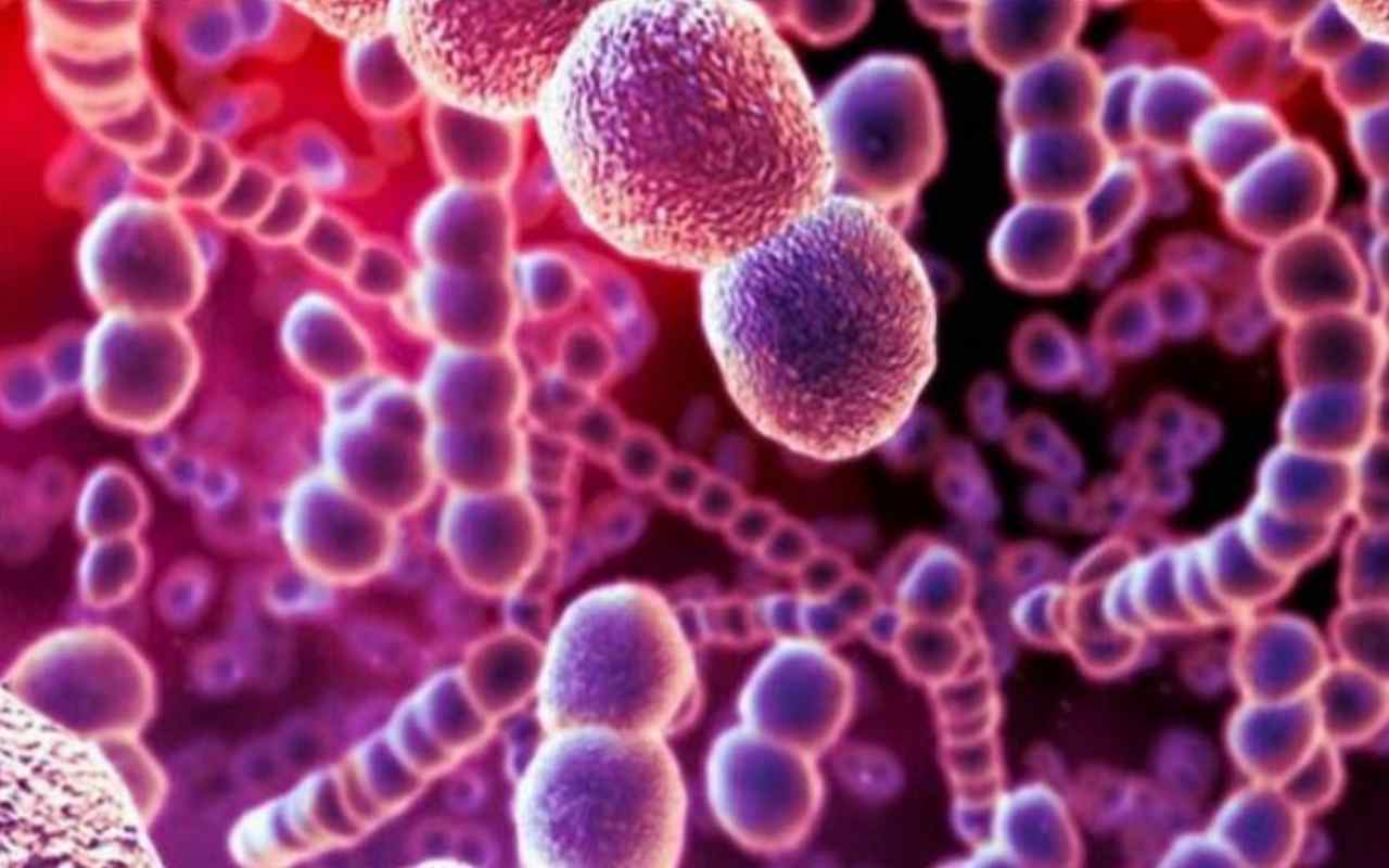 Cosa causa infezione streptococco?