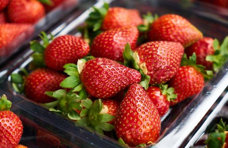 Fragole conservarle al meglio