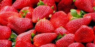 Le fragole subito marciscono