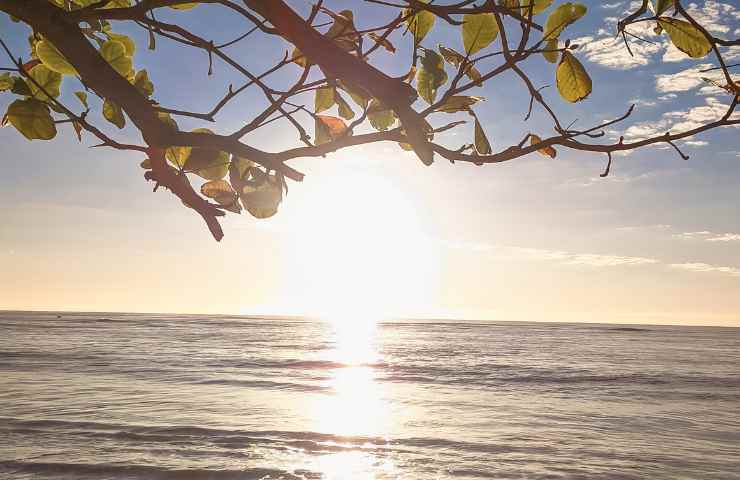 Raggi solari Vitamina D