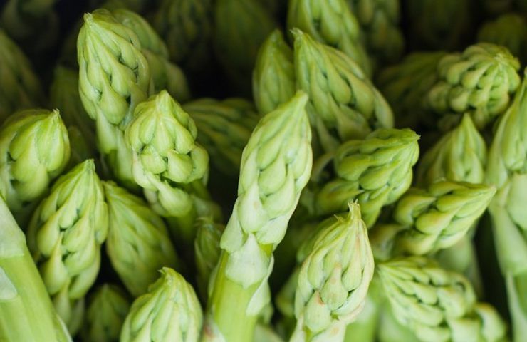 Asparagi non mangiarli se soffri di nefropatia