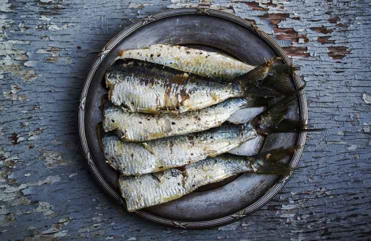 pesce azzurro allergia primaverile