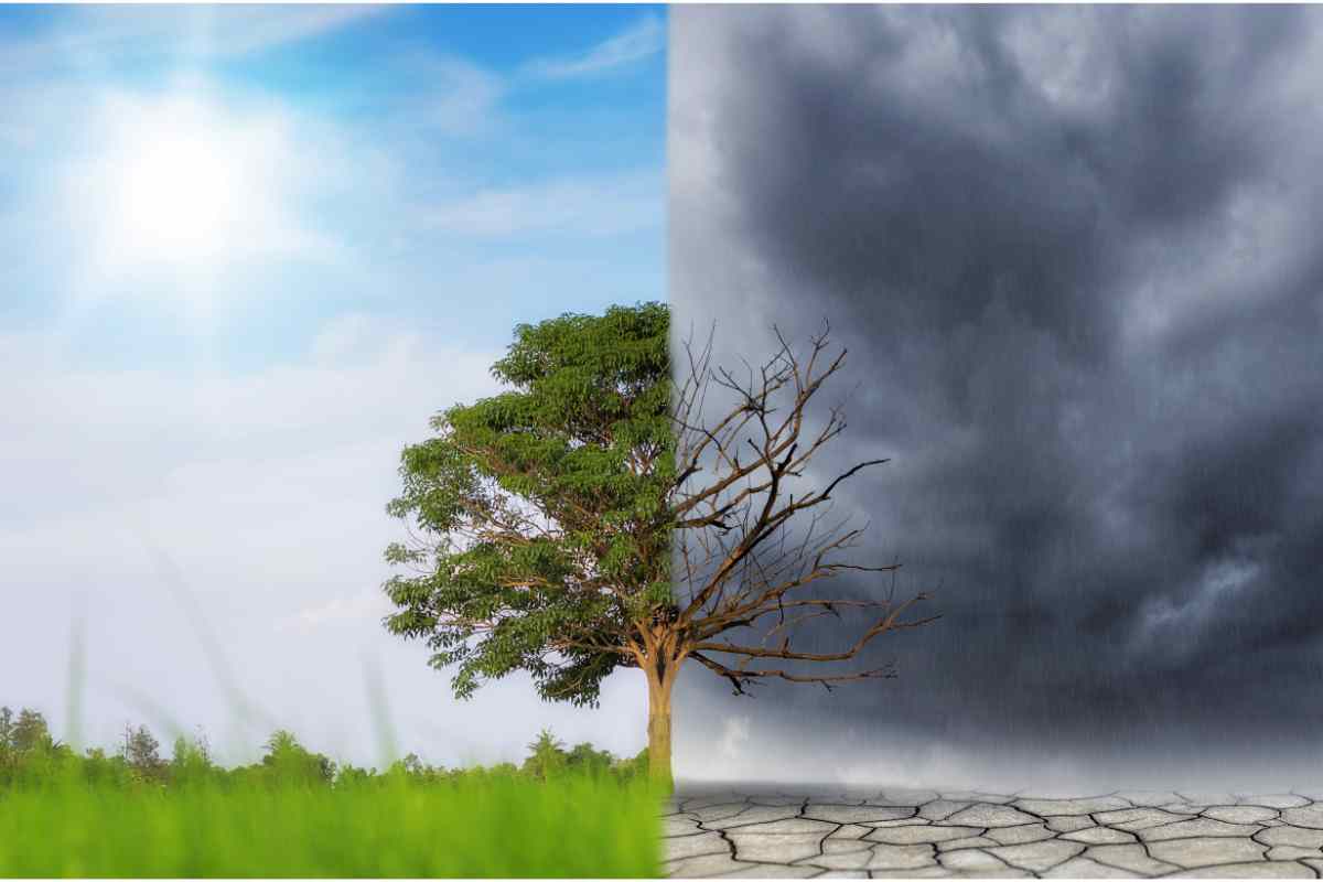 Cambiamento climatico