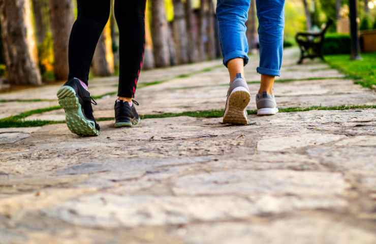 Guadagnare camminando