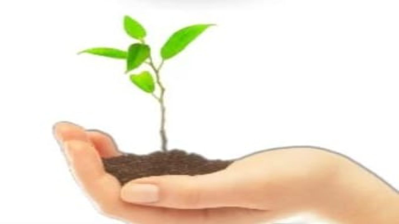 Fertilizzante naturale