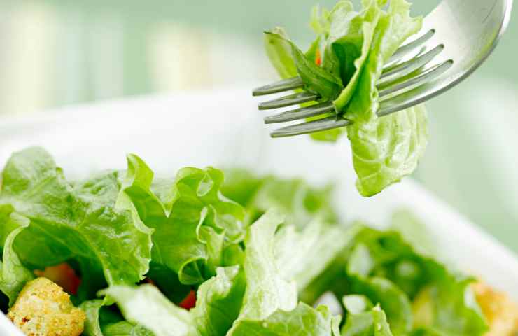 Come conservare l'insalata fresca in frigorifero