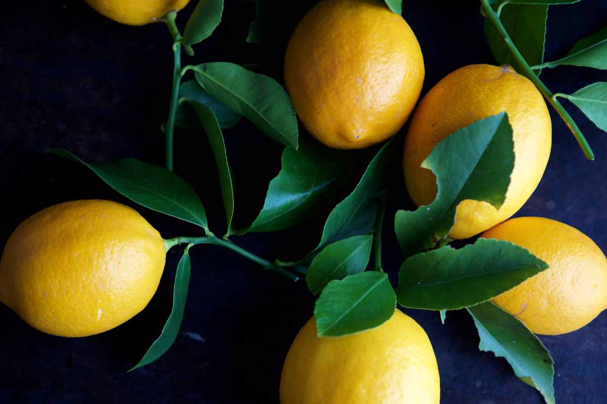 Limone benefici glicemia analisi