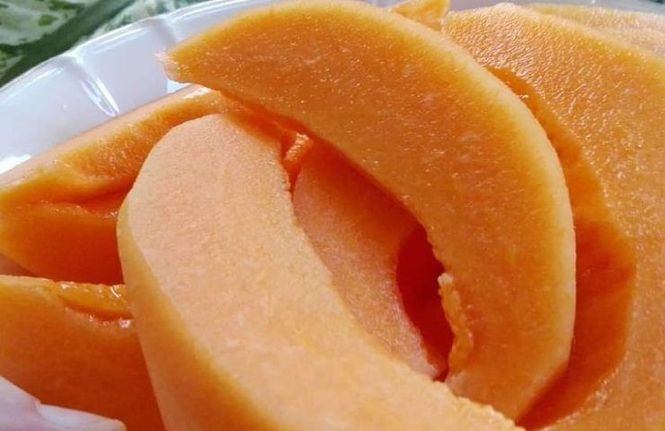 Melone Cantalupo benefici e proprietà