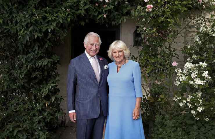 Re Carlo e Camilla Harry e William rapporto