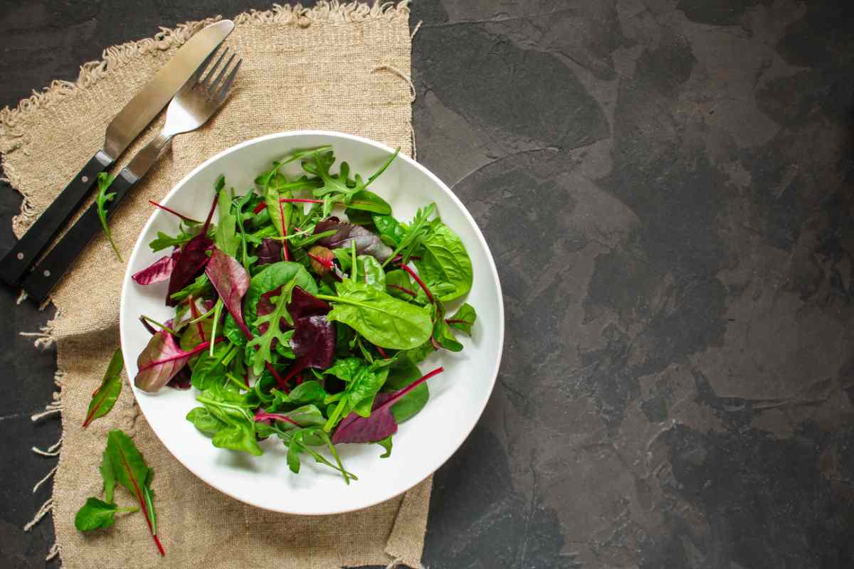Rucola