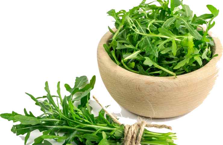 Rucola