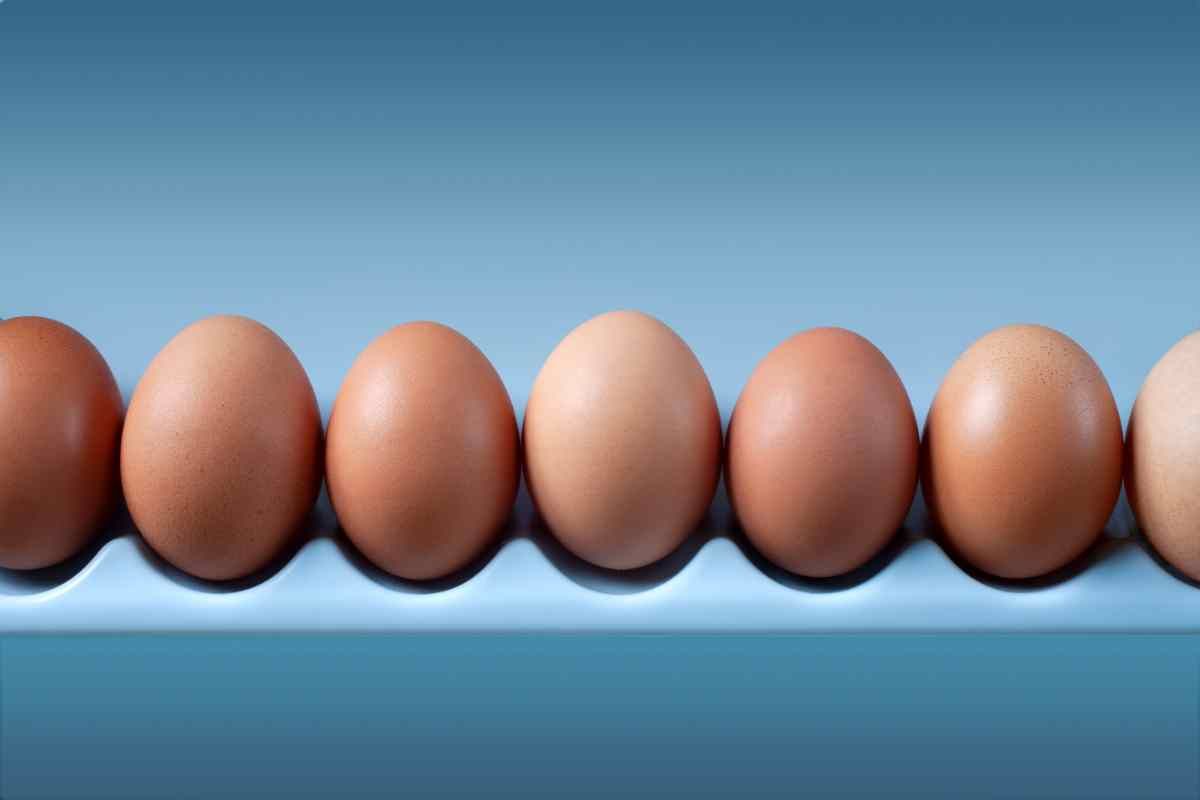 Uova, come riporle nel frigorifero