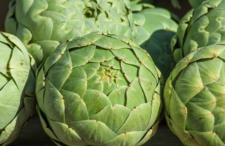 Carcifi i benefici