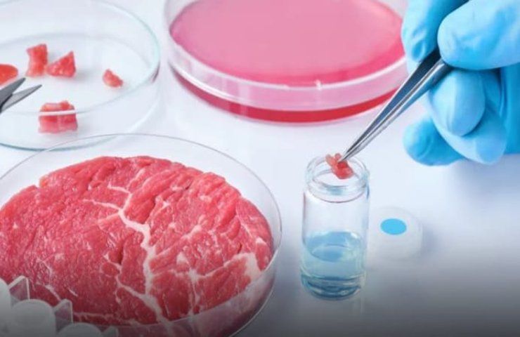 carne sintetica