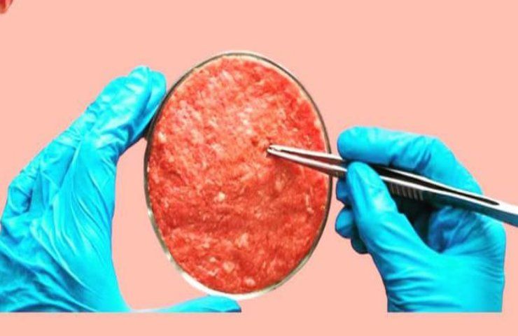 carne sintetica