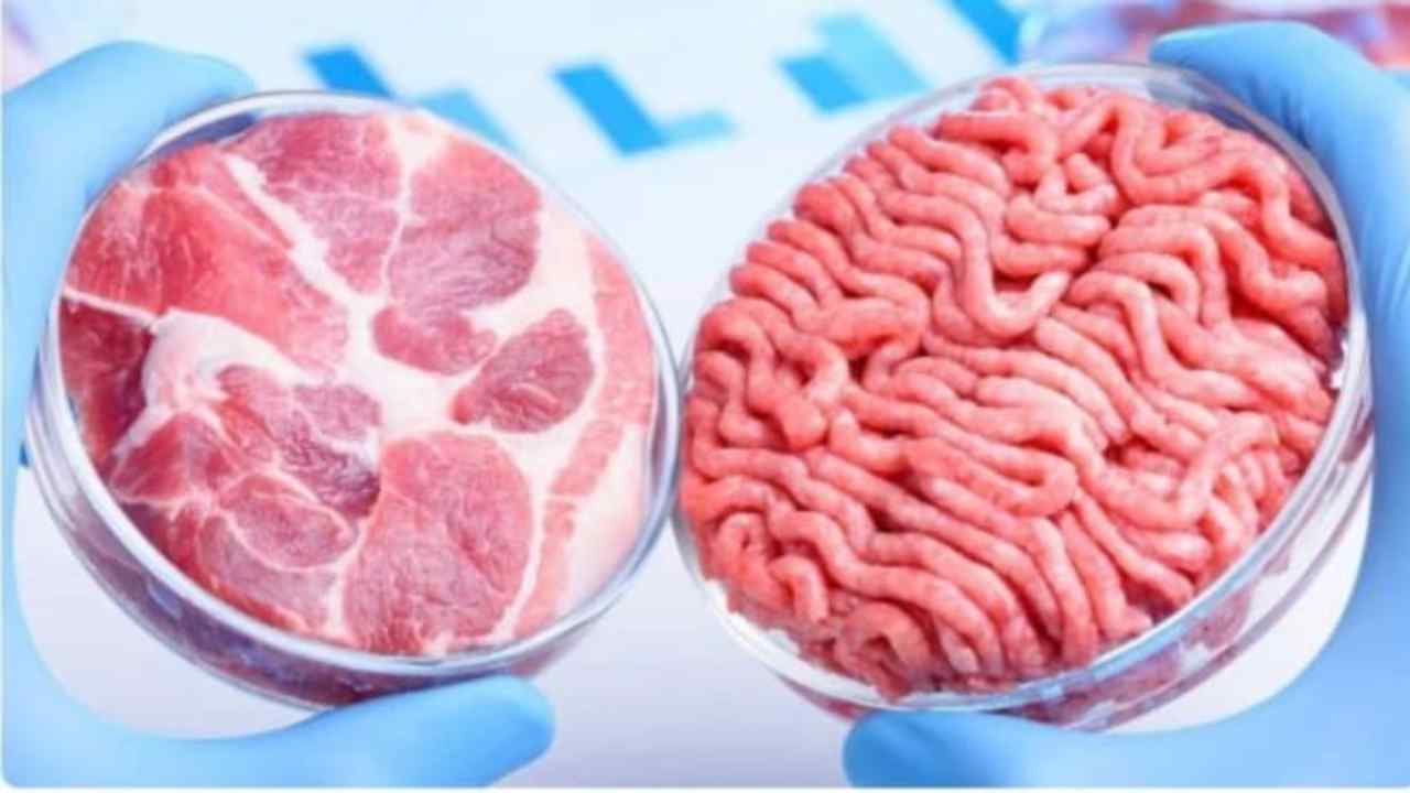 carne sintetica