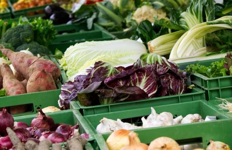 verdure come puoi mangiarle