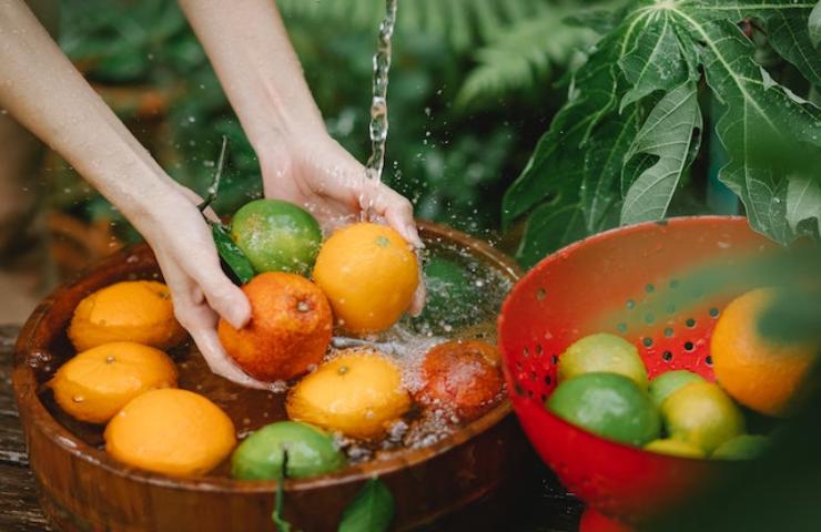 vitamina B9 essenziale e dove trovarla