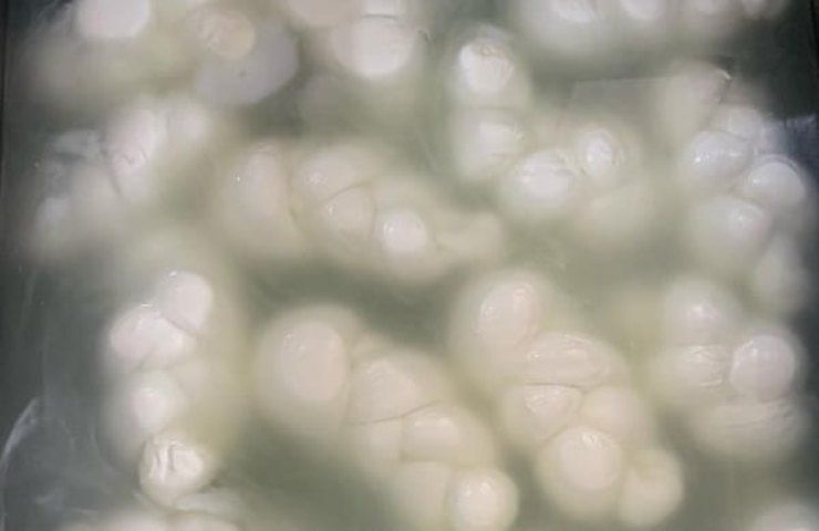 Acqua mozzarelle utilizzo in cucina