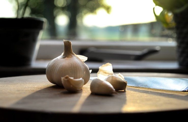 Come conservare perfettamente l'aglio