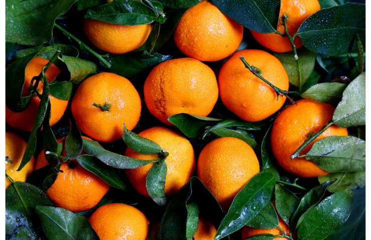 Arancia betacarotene
