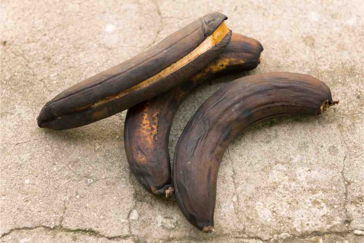 Banane annerite si possono mangiare