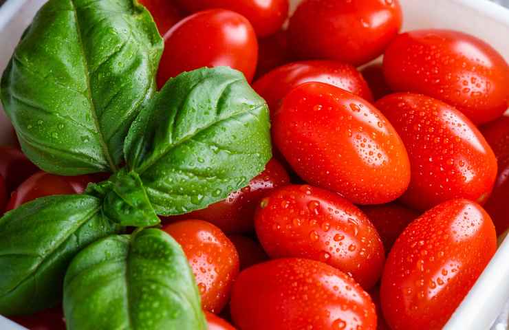 Basilico