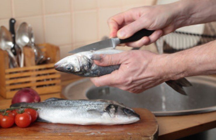 Conviene lavare il pesce?