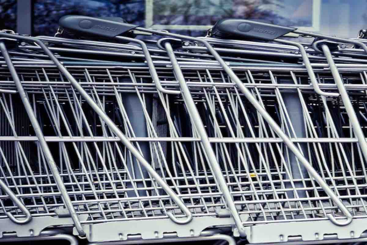 Carrello Della Spesa KEEPER Olli 65L - Pratico E Capiente Per La Spesa