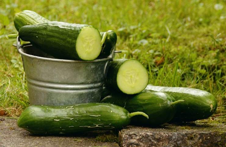 Cetrioli, mai togliere la buccia: svelato il motivo
