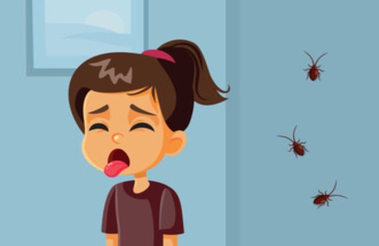Metodo casalingo per non veder più gli scarafaggi