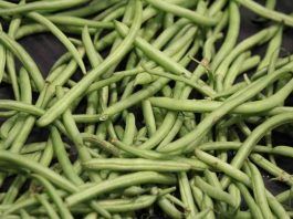 Fagiolini, si possono congelare