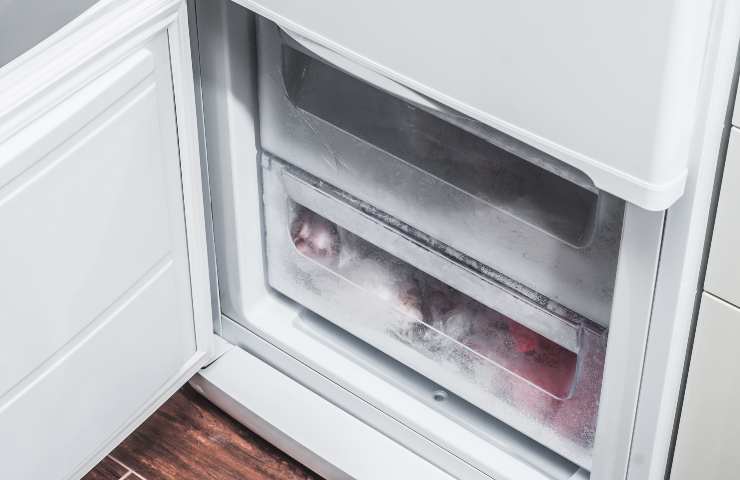 Come sbrinare freezer (Foto Adobe) - lindiscreto.it