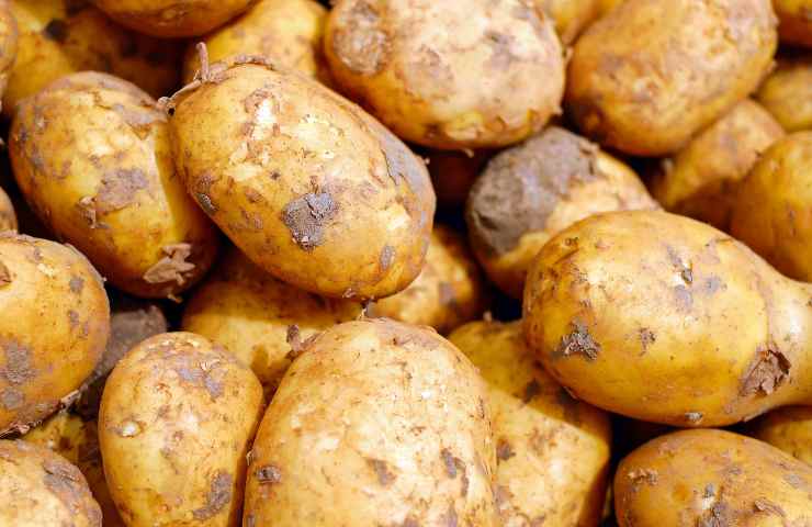 Patate germogliano velocemente trucco