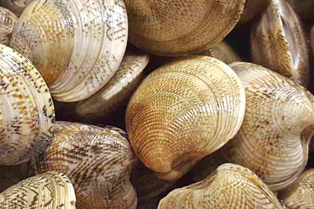 Vongole come pulirle trucchetto