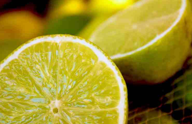 Limoni come conservarli evitare muffa