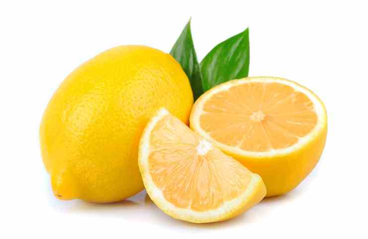 Limone formiche