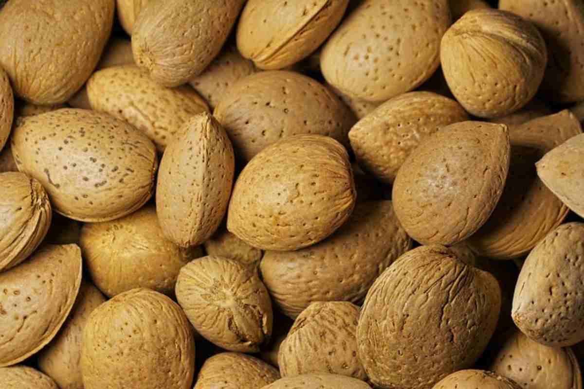Mandorle, consumare anche la buccia