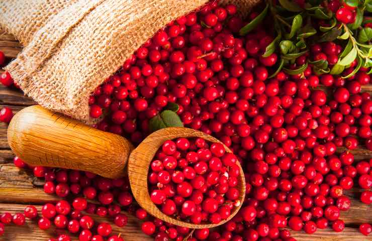 Mirtillo rosso