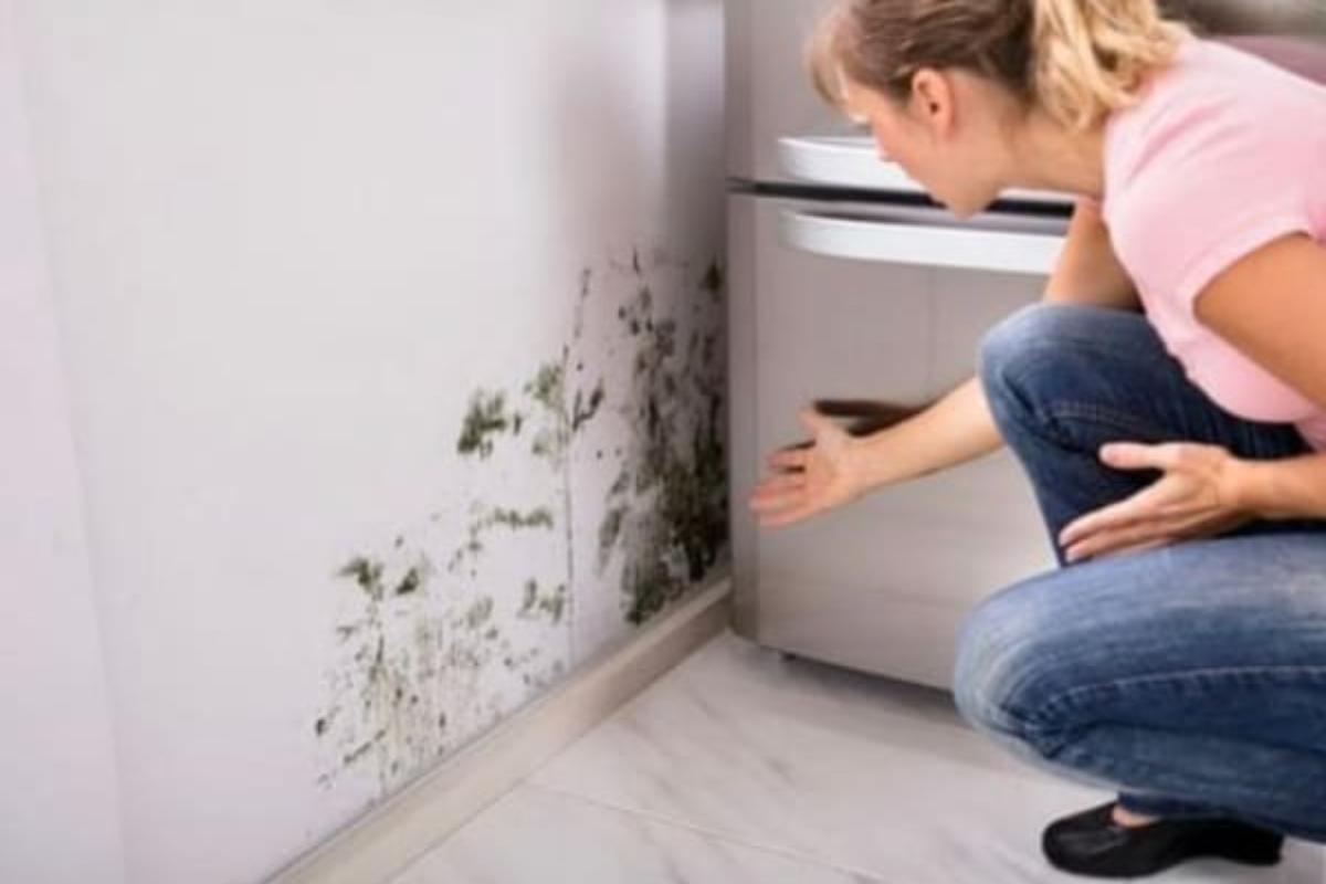 Come eliminare la muffa dagli angoli dei muri