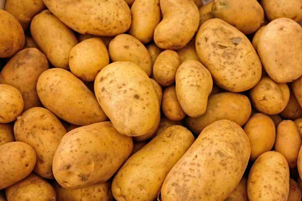 patate metodo del contadino germogliare