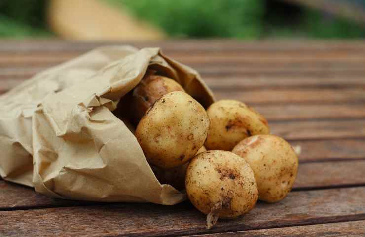 Patate germogliano velocemente trucco