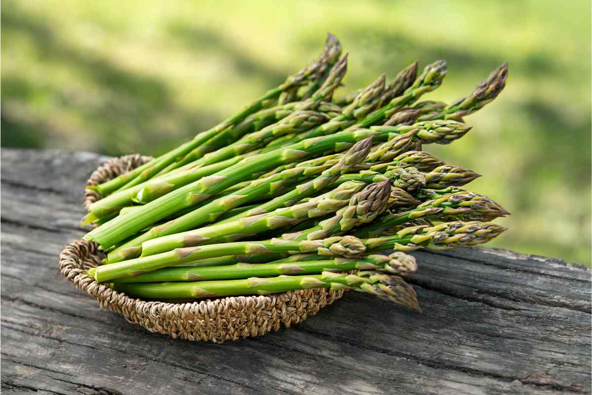 Asparagi