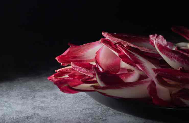 Radicchio