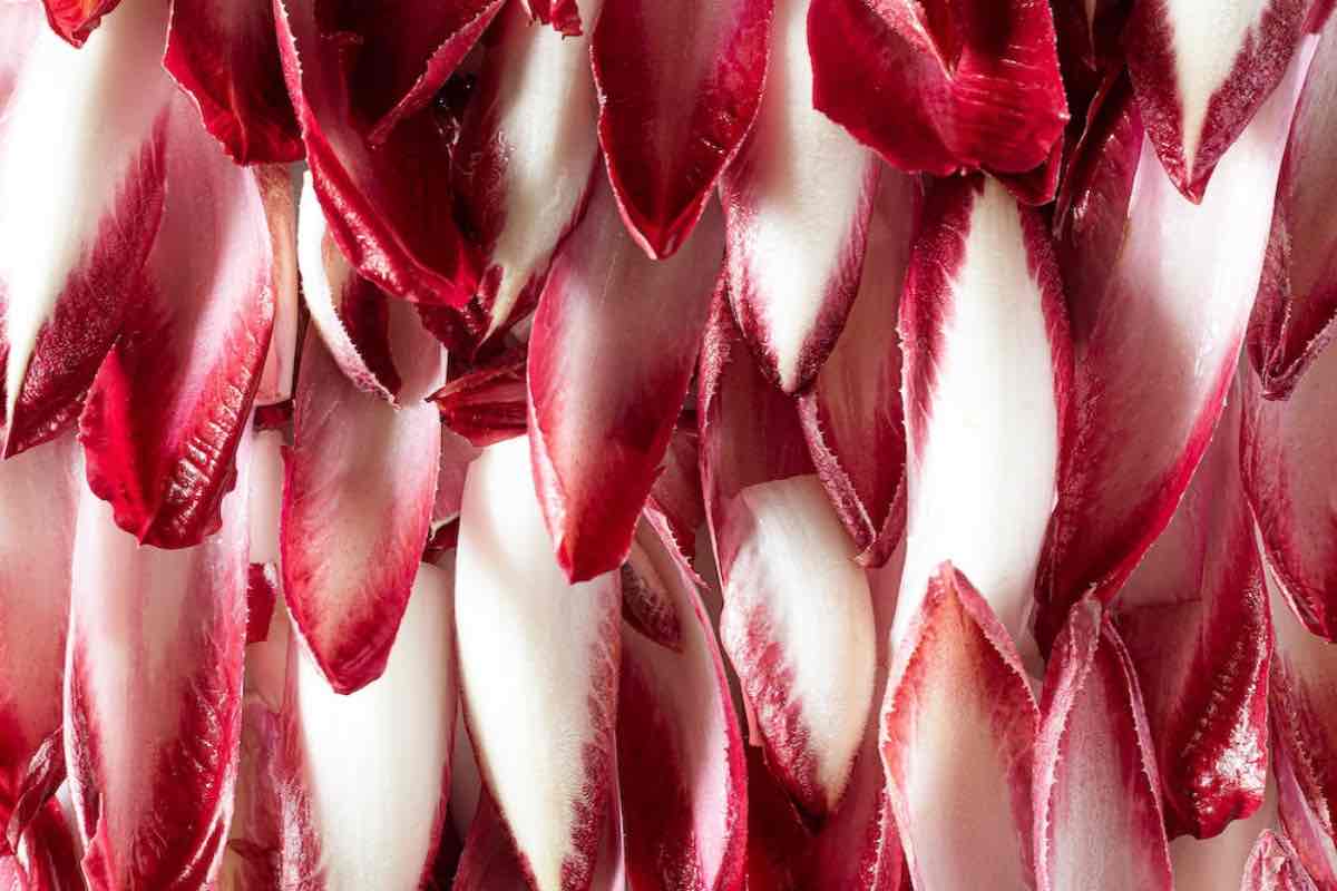 Radicchio