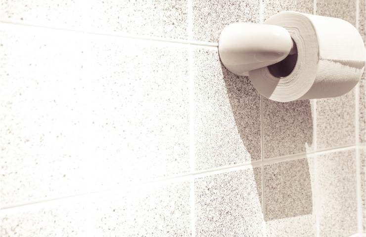 Cartello di carta igienica con scritta in lingua inglese Do Not Flush