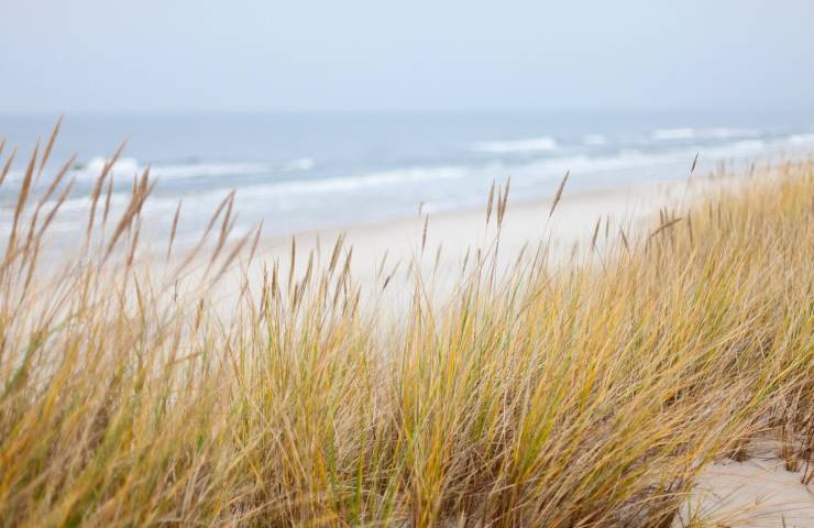 Passoscuro donna trovata morta spiaggia