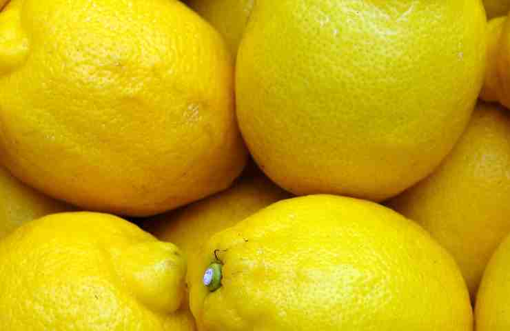 Limoni come conservarli evitare muffa